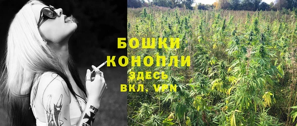 гидра Богородицк