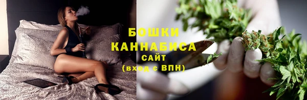 гидра Богородицк