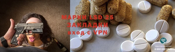 соль ск Богданович