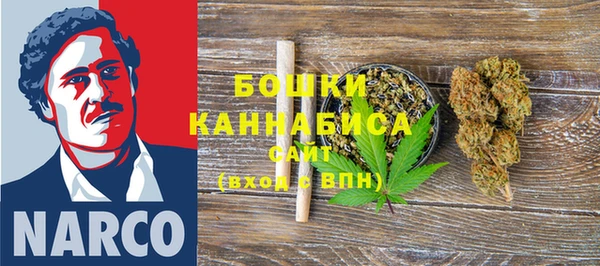 соль ск Богданович