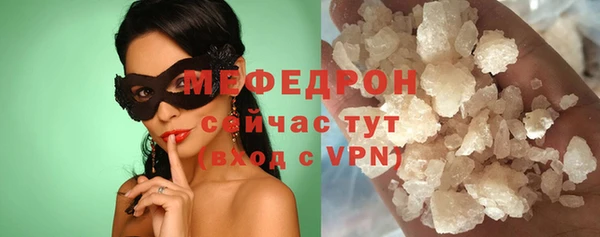 гидра Богородицк