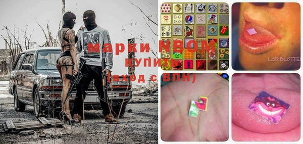 гидра Богородицк