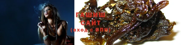 гидра Богородицк