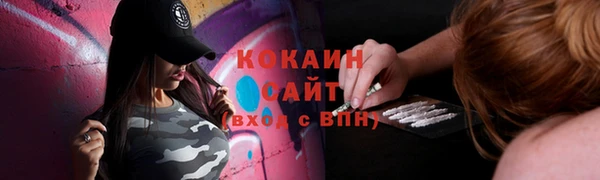 гидра Богородицк