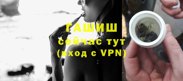 гидра Богородицк