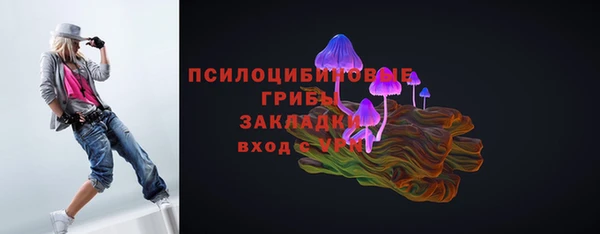 2c-b Богородск