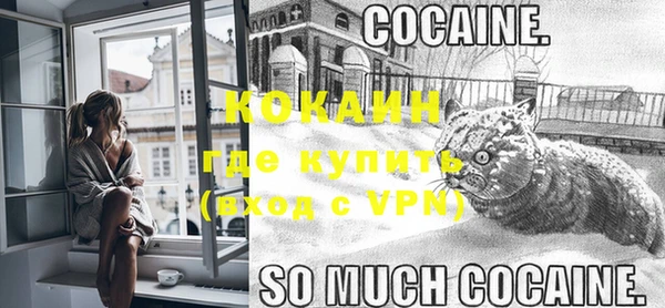 гидра Богородицк