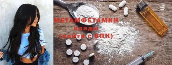 гидра Богородицк