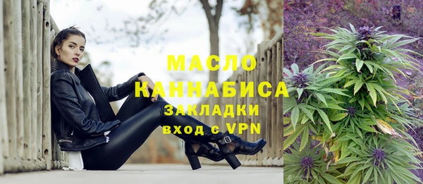 гидра Богородицк