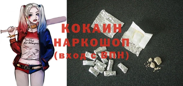 гидра Богородицк