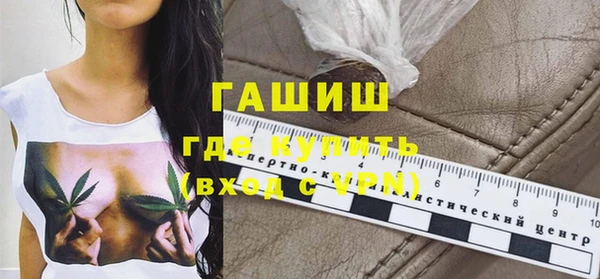 гидра Богородицк