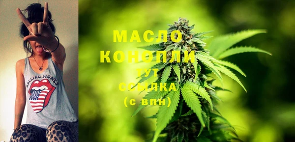 гидра Богородицк