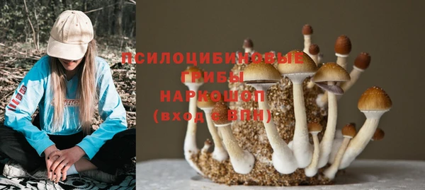 гидра Богородицк