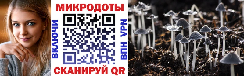 Псилоцибиновые грибы прущие грибы  Неман 